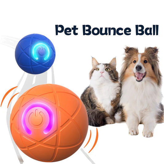 Petoz World RollBot Ball — Interactive Motorised Ball Toy for Dogs