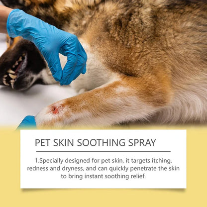 Petoz World SkinClear Spray — Pet Skin Treatment for Fungal & Bacterial Infections