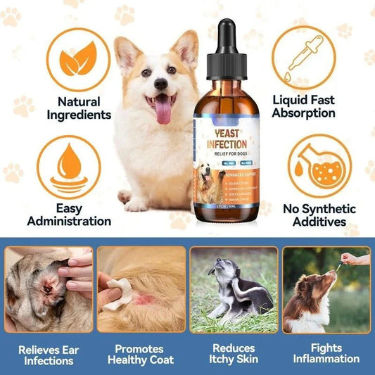 Petoz World SkinEase Drops — Daily Skin & Ear Comfort Drops for Dogs