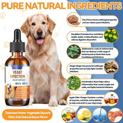 Petoz World SkinEase Drops — Daily Skin & Ear Comfort Drops for Dogs