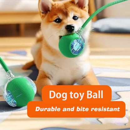 Petoz World SpinBot Ball — Smart Interactive Toy Ball for Cats & Dogs