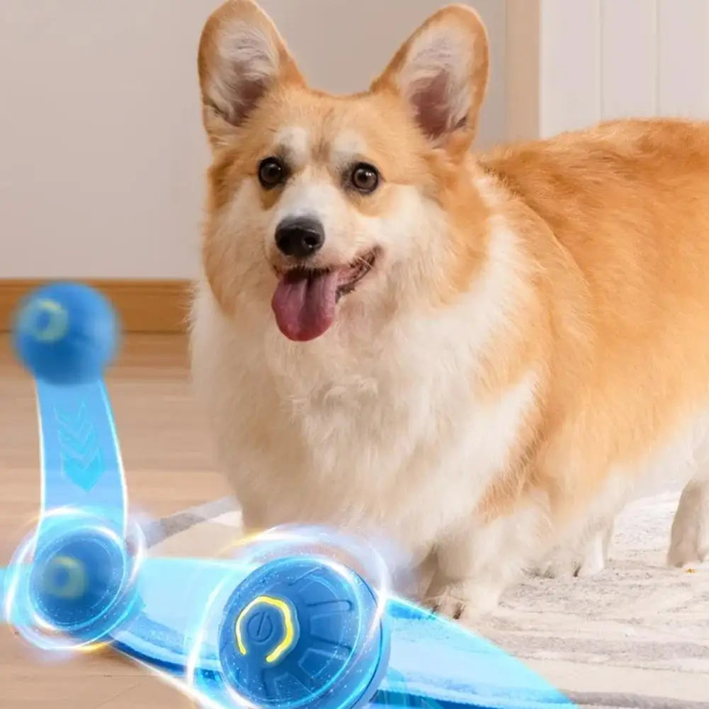 Petoz World RollBot Ball — Interactive Motorised Ball Toy for Dogs