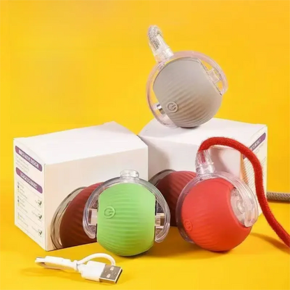 Petoz World SpinBot Ball — Smart Interactive Toy Ball for Cats & Dogs