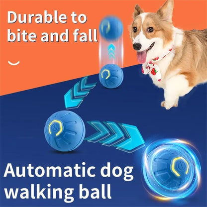 Petoz World RollBot Ball — Interactive Motorised Ball Toy for Dogs
