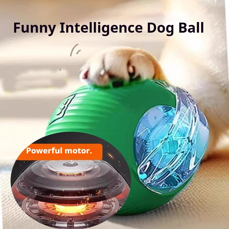 Petoz World SpinBot Ball — Smart Interactive Toy Ball for Cats & Dogs