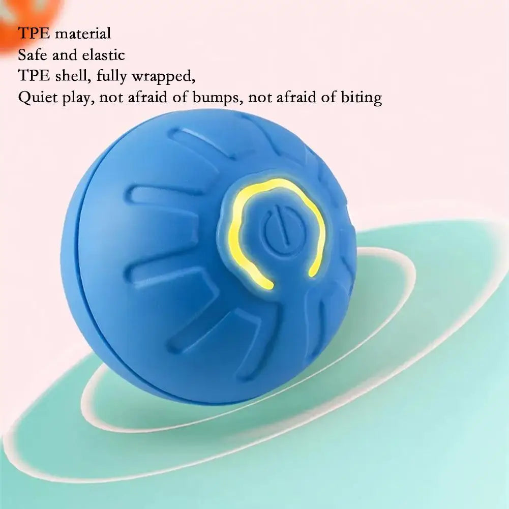 Petoz World RollBot Ball — Interactive Motorised Ball Toy for Dogs