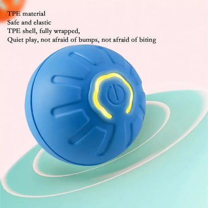 Petoz World RollBot Ball — Interactive Motorised Ball Toy for Dogs