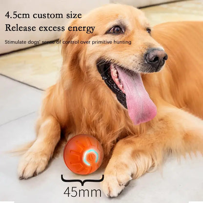 Petoz World RollBot Ball — Interactive Motorised Ball Toy for Dogs