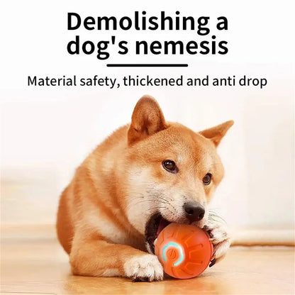 Petoz World RollBot Ball — Interactive Motorised Ball Toy for Dogs