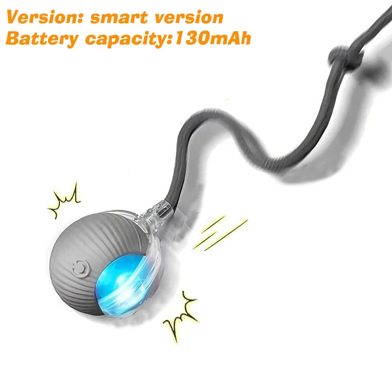 Petoz World SpinBot Ball — Smart Interactive Toy Ball for Cats & Dogs