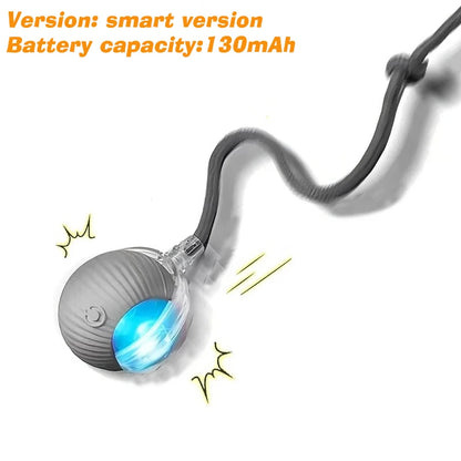 Petoz World SpinBot Ball — Smart Interactive Toy Ball for Cats & Dogs