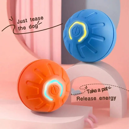 Petoz World RollBot Ball — Interactive Motorised Ball Toy for Dogs