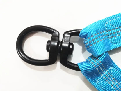 Petoz World BungeeLead — Heavy Duty Dog Leash with Shock-Absorbing Bungee