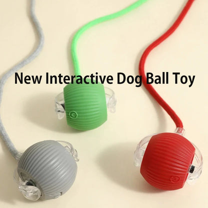 Petoz World SpinBot Ball — Smart Interactive Toy Ball for Cats & Dogs