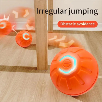 Petoz World RollBot Ball — Interactive Motorised Ball Toy for Dogs