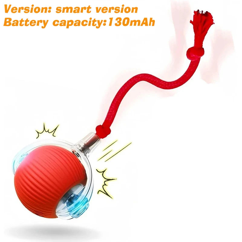 Petoz World SpinBot Ball — Smart Interactive Toy Ball for Cats & Dogs