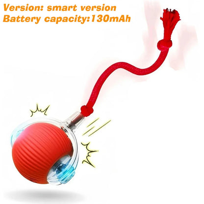 Petoz World SpinBot Ball — Smart Interactive Toy Ball for Cats & Dogs