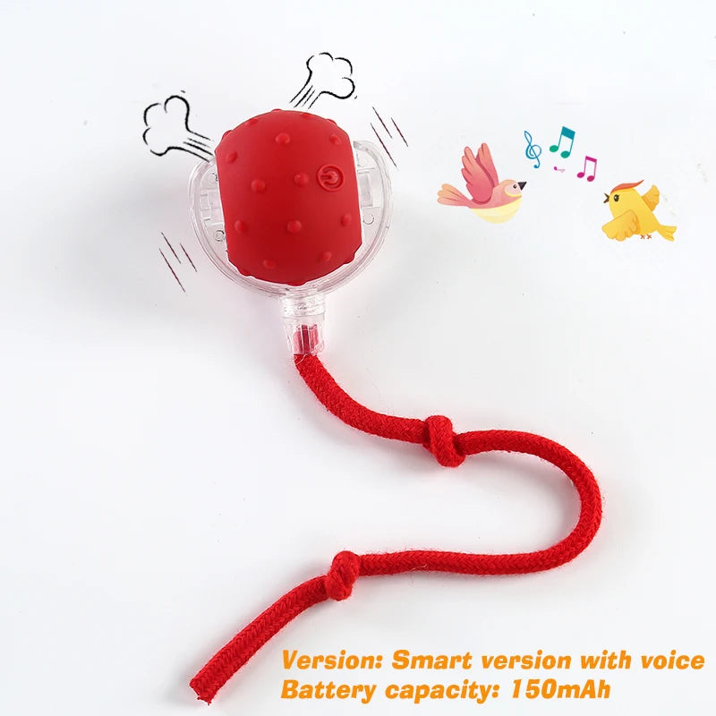 Petoz World SpinBot Ball — Smart Interactive Toy Ball for Cats & Dogs