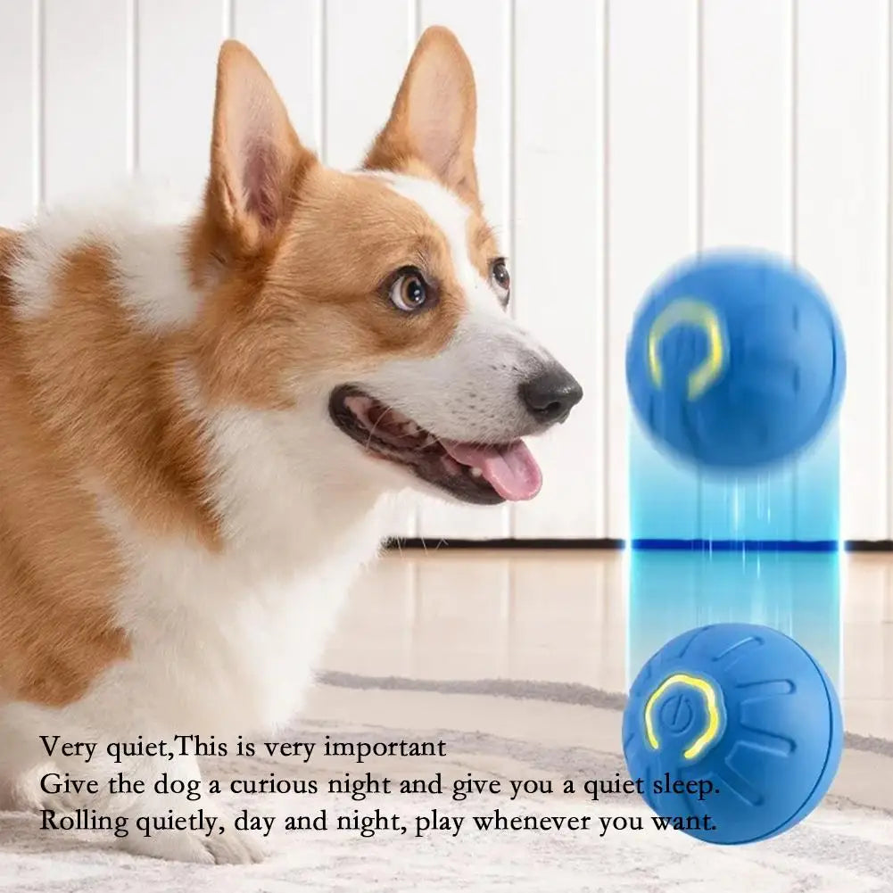 Petoz World RollBot Ball — Interactive Motorised Ball Toy for Dogs