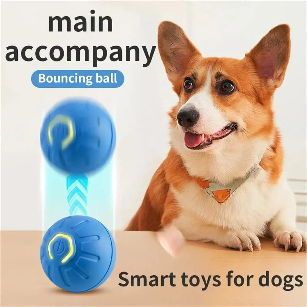 Petoz World RollBot Ball — Interactive Motorised Ball Toy for Dogs