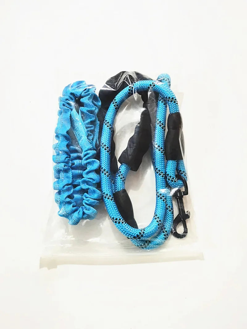 Petoz World BungeeLead — Heavy Duty Dog Leash with Shock-Absorbing Bungee