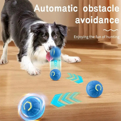 Petoz World RollBot Ball — Interactive Motorised Ball Toy for Dogs