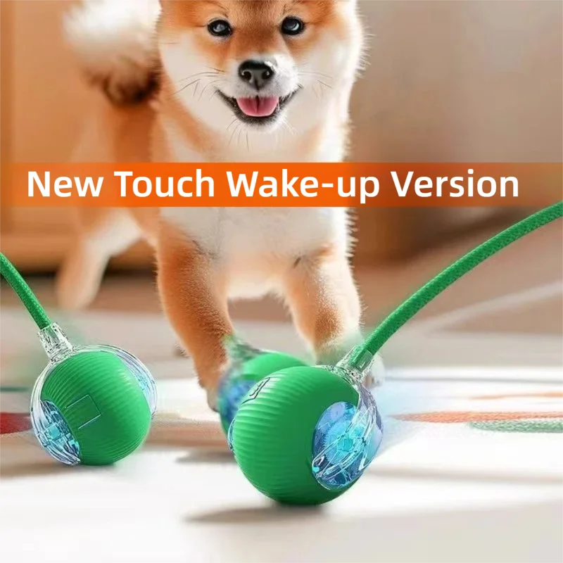 Petoz World SpinBot Ball — Smart Interactive Toy Ball for Cats & Dogs