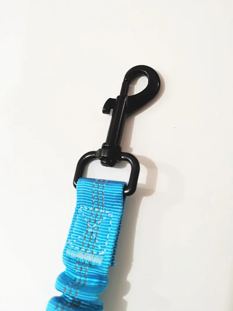 Petoz World BungeeLead — Heavy Duty Dog Leash with Shock-Absorbing Bungee