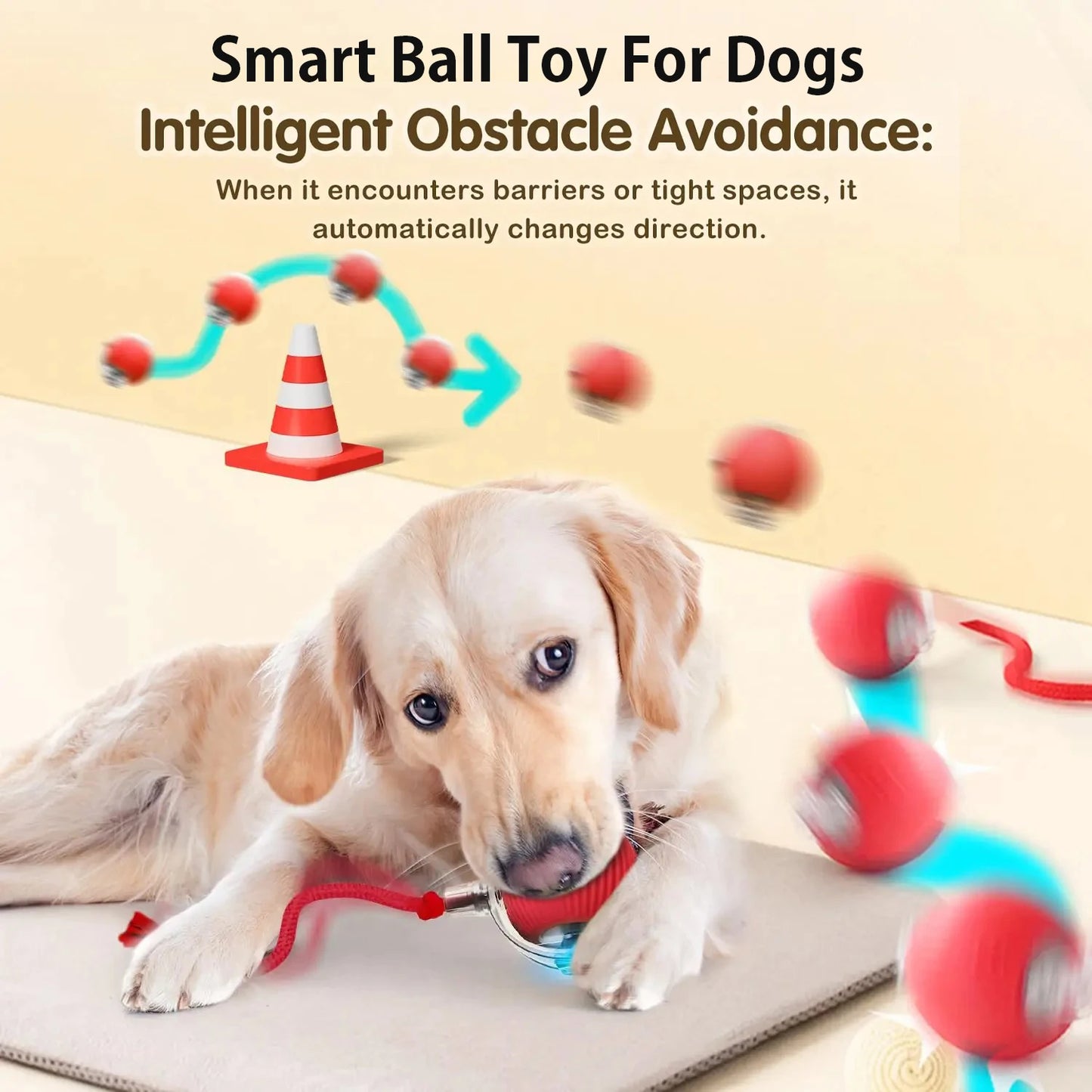 Petoz World SpinBot Ball — Smart Interactive Toy Ball for Cats & Dogs