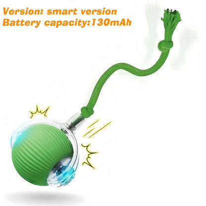 Petoz World SpinBot Ball — Smart Interactive Toy Ball for Cats & Dogs