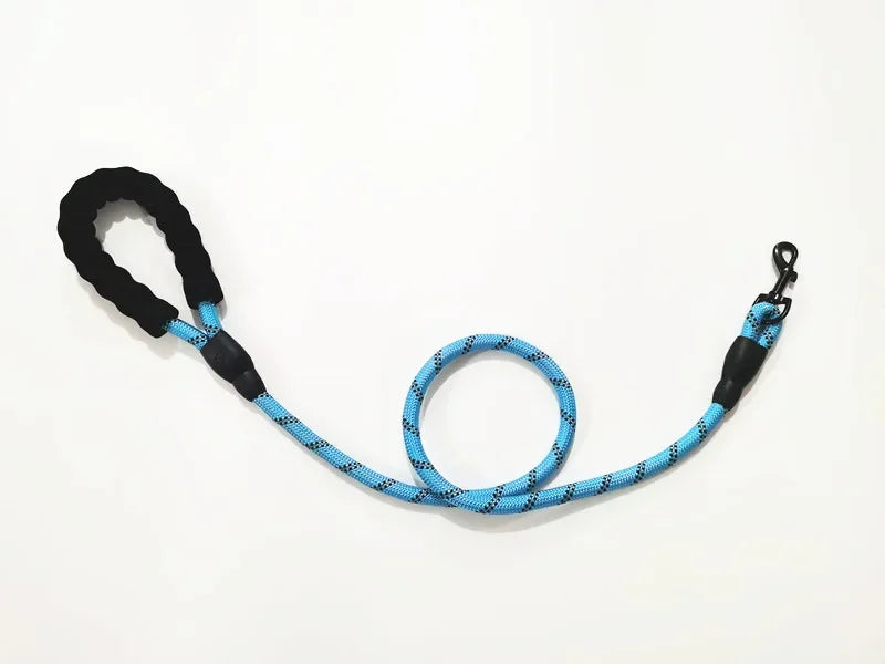 Petoz World BungeeLead — Heavy Duty Dog Leash with Shock-Absorbing Bungee