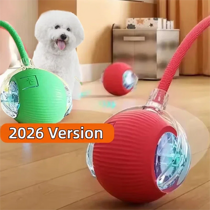 Petoz World SpinBot Ball — Smart Interactive Toy Ball for Cats & Dogs