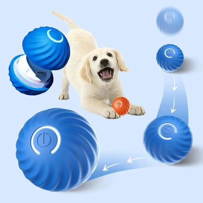Petoz World RollBot Ball — Interactive Motorised Ball Toy for Dogs