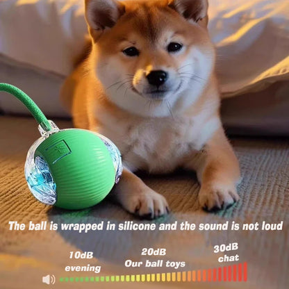 Petoz World SpinBot Ball — Smart Interactive Toy Ball for Cats & Dogs