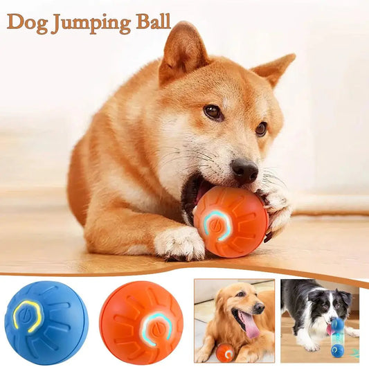Petoz World RollBot Ball — Interactive Motorised Ball Toy for Dogs