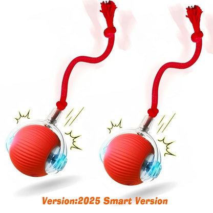 Petoz World SpinBot Ball — Smart Interactive Toy Ball for Cats & Dogs